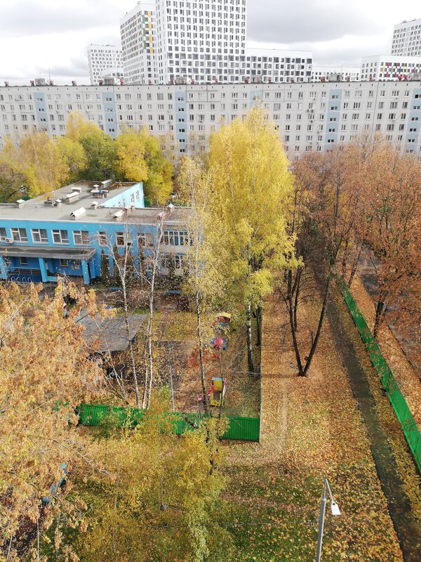 Осень - Ольга Довженко