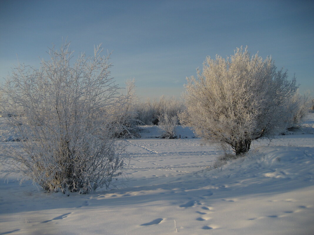 Зима - Anna Ivanova Зима - Anna Ivanova