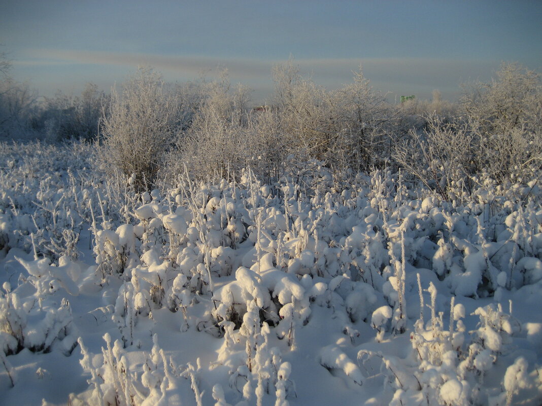 Зима - Anna Ivanova Зима - Anna Ivanova