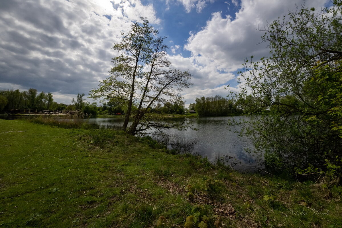 Озеро в апреле... - Николай Гирш