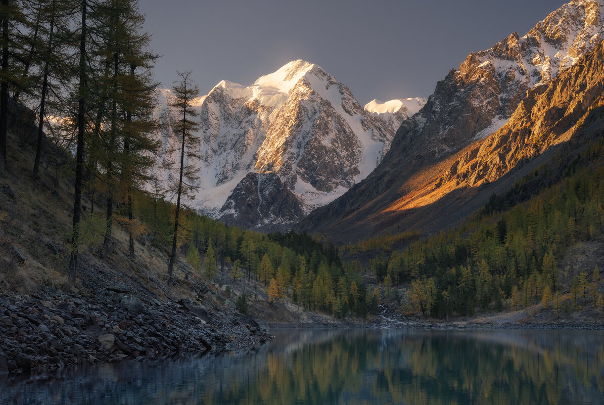 * - Александр Иванов * - Александр Иванов