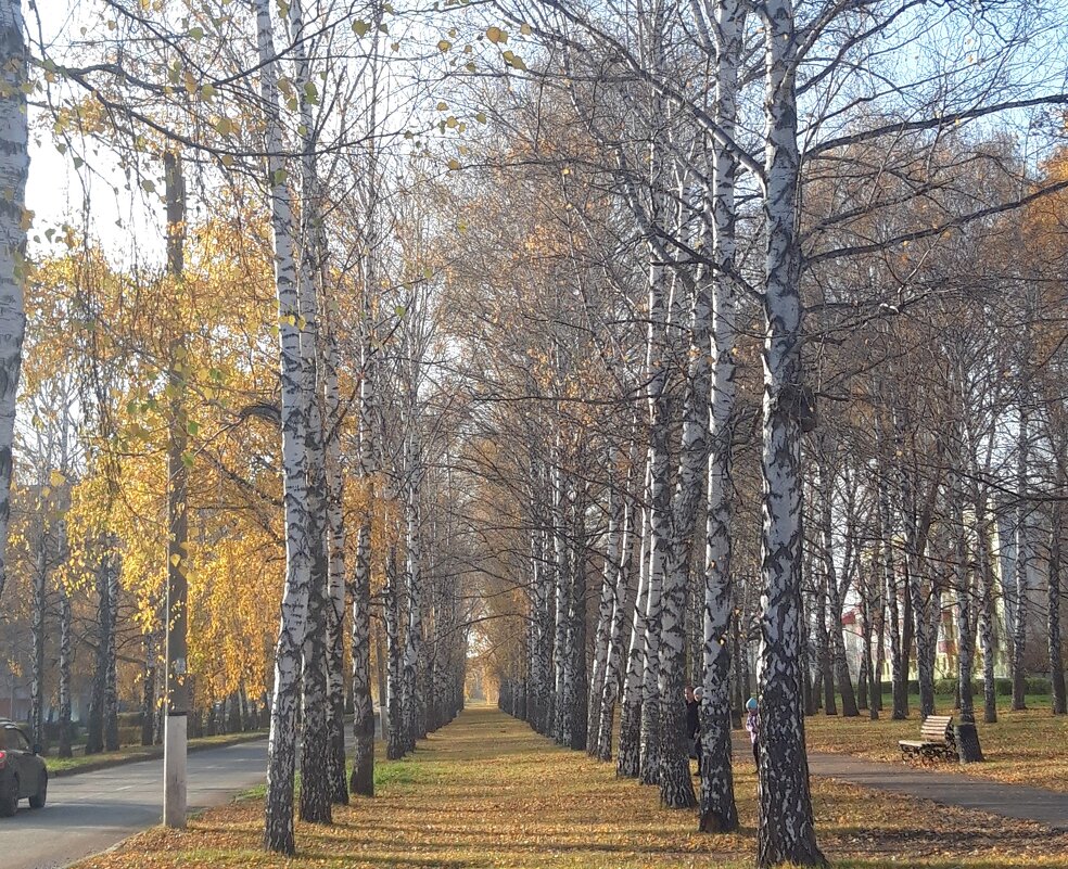 Мой город - Венера Чуйкова