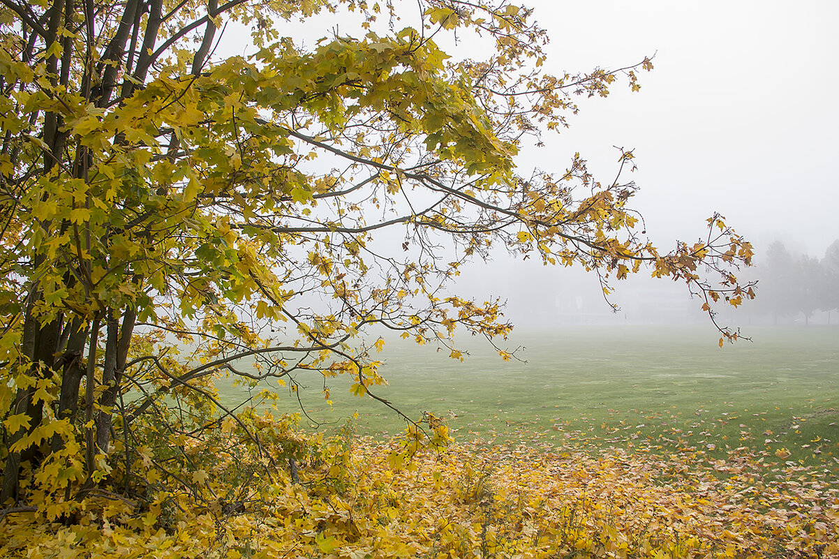 Листопад... - Bosanat 