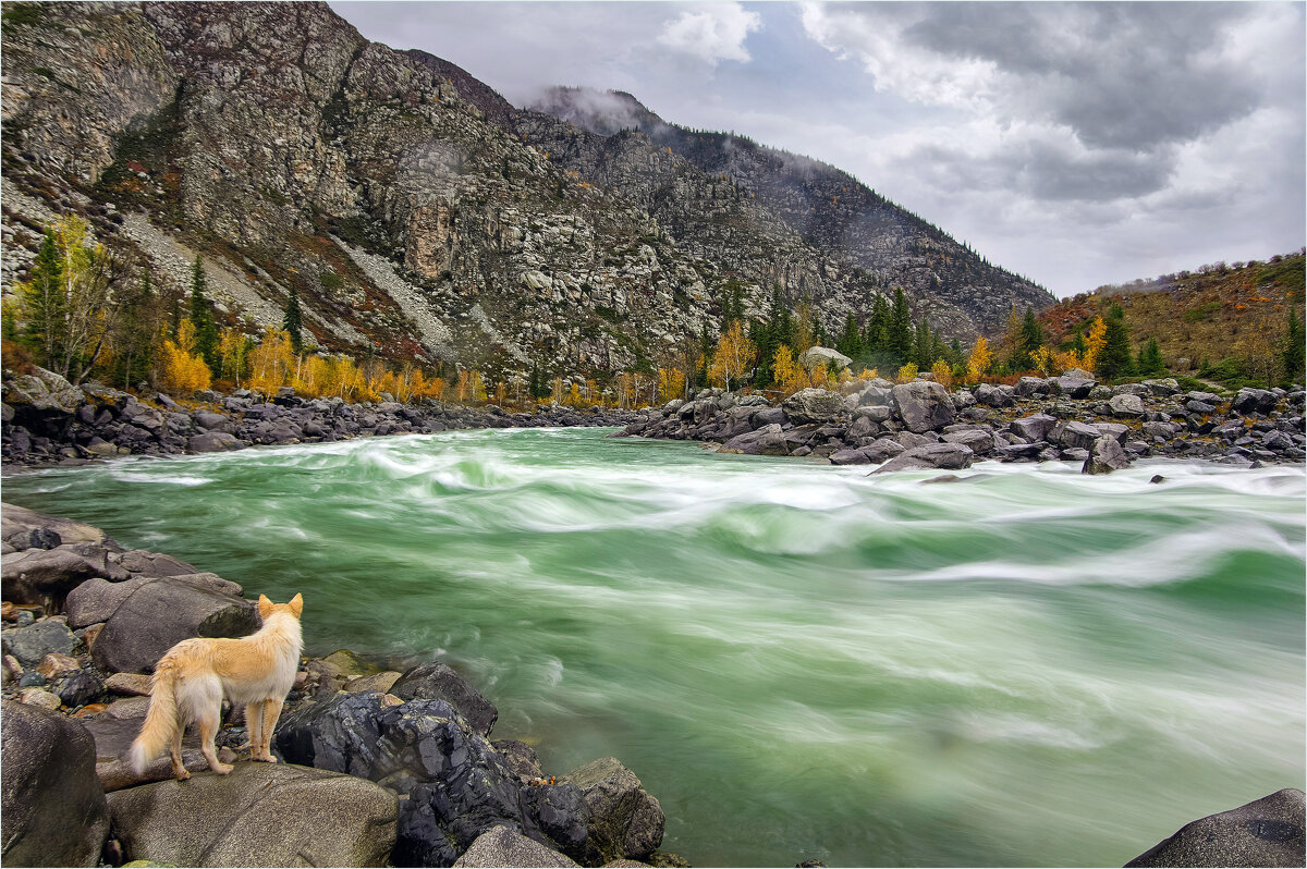 Созерцая красоту.. - Алексей Мезенцев Созерцая красоту.. - Алексей Мезенцев