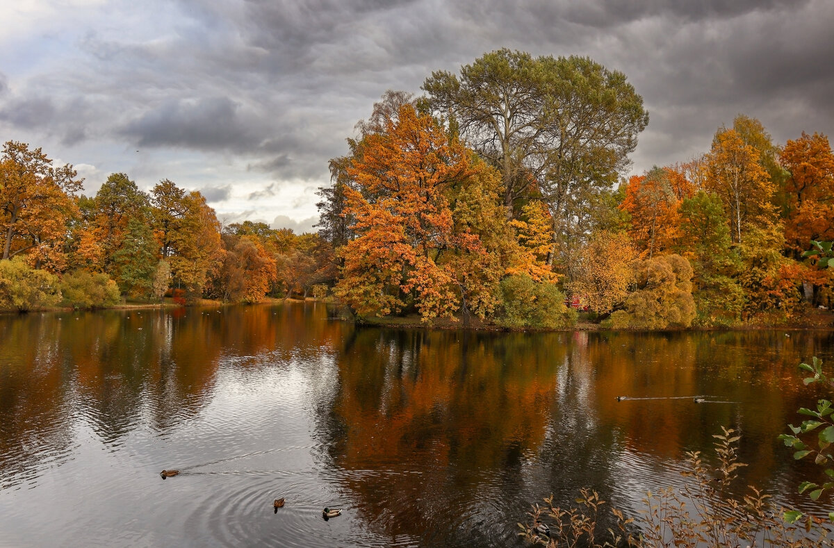 Елагин остров - skijumper Иванов Елагин остров - skijumper Иванов