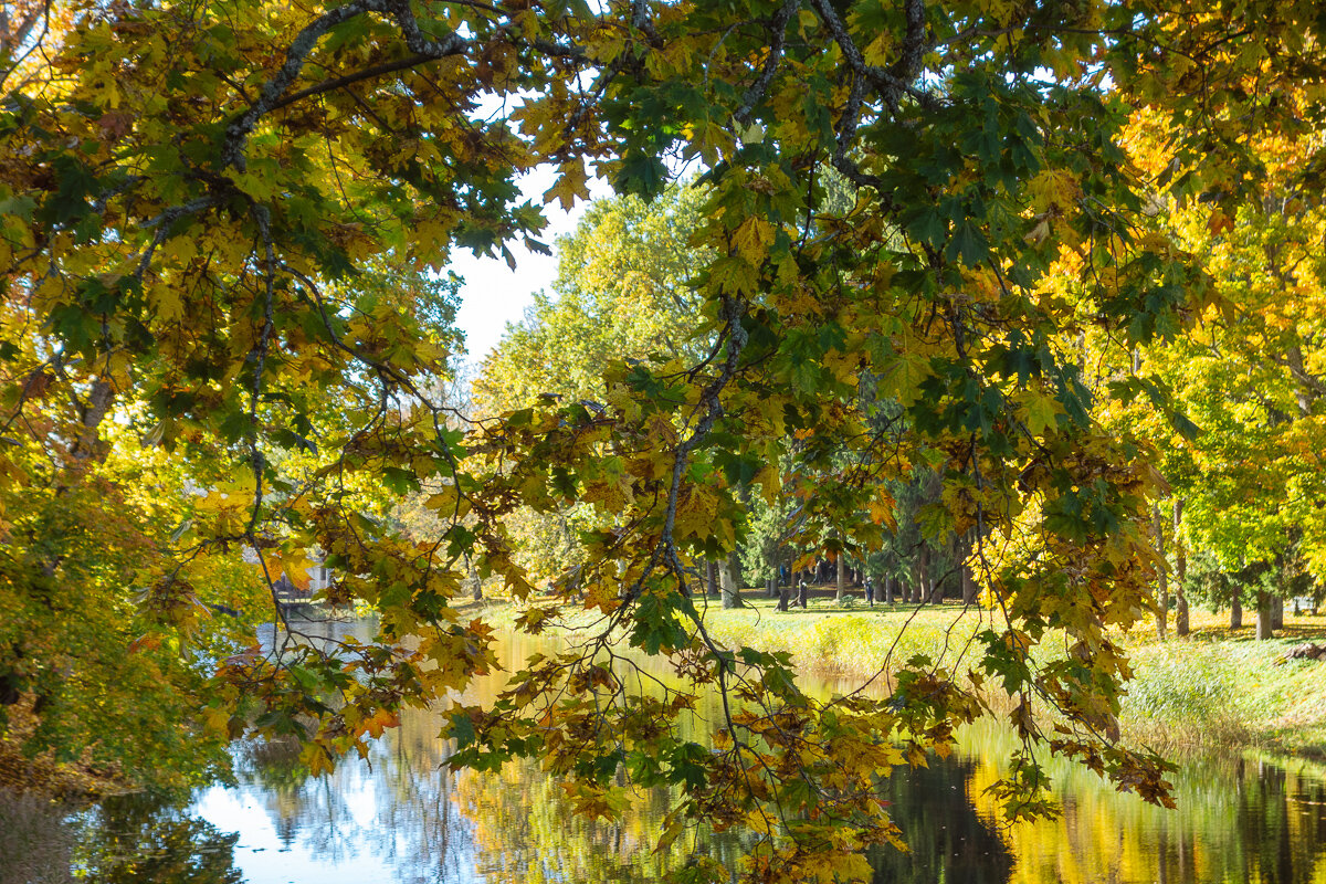 *** - Геннадий Порохов