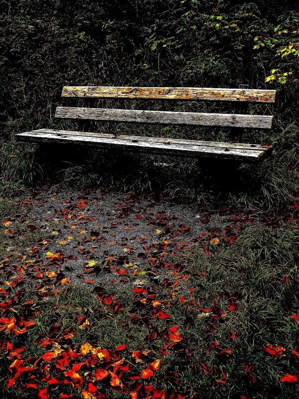 Осень 13 - Алексей Кузнецов