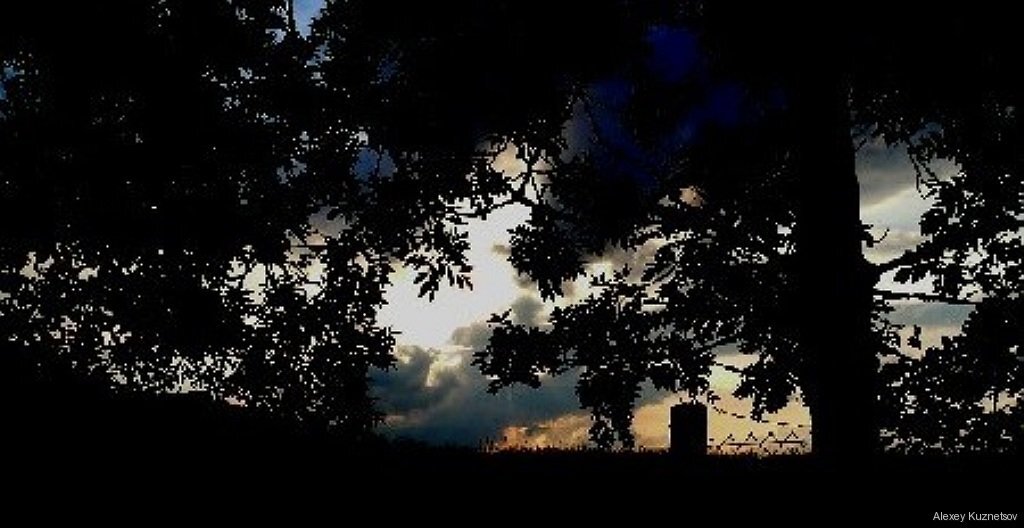 Осень 15 - Алексей Кузнецов