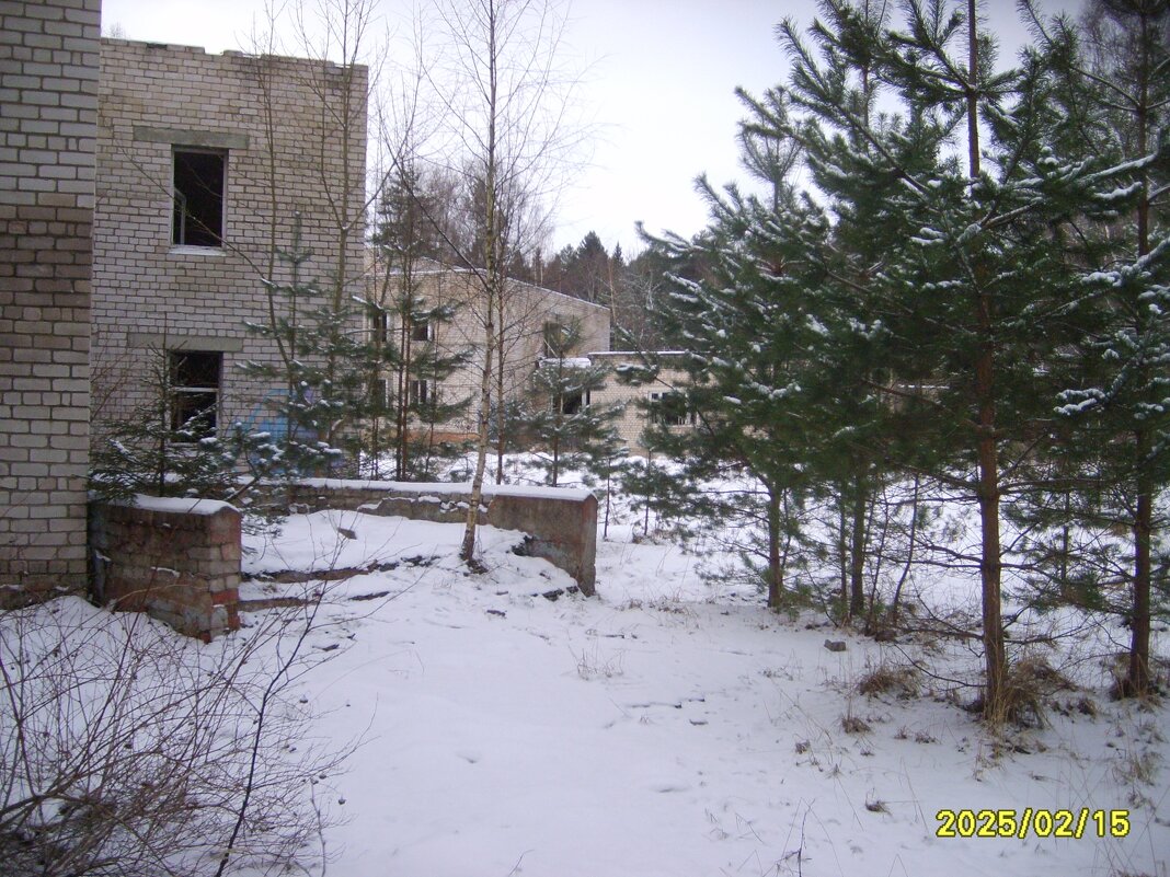 заброшка - fogmeadowww m