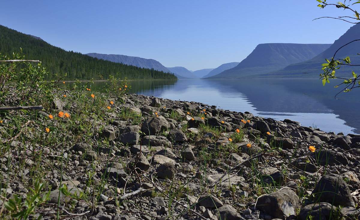 *** - Александр Хаецкий