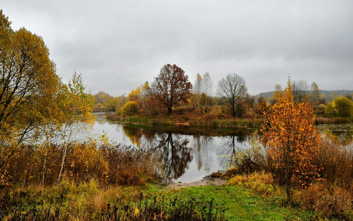 Яркая картинка осени в октябре. - Милешкин Владимир Алексеевич 