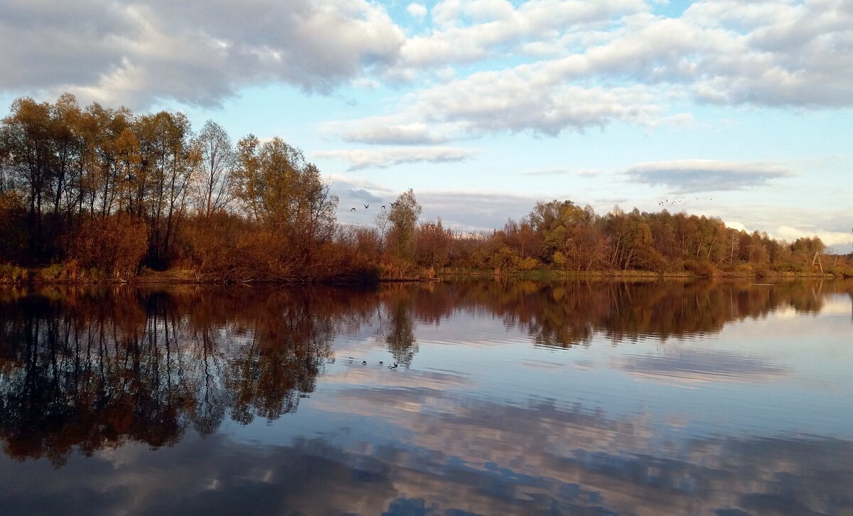 Пейзаж с отражением - Galina Solovova