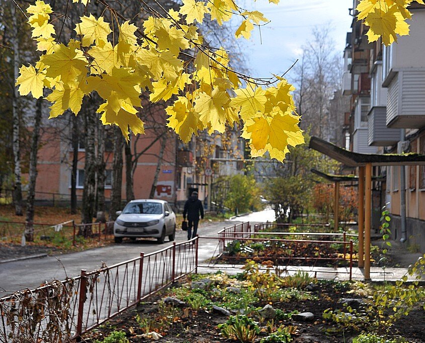 Листья жёлтые над городом кружатся... )) - Владимир Хиль