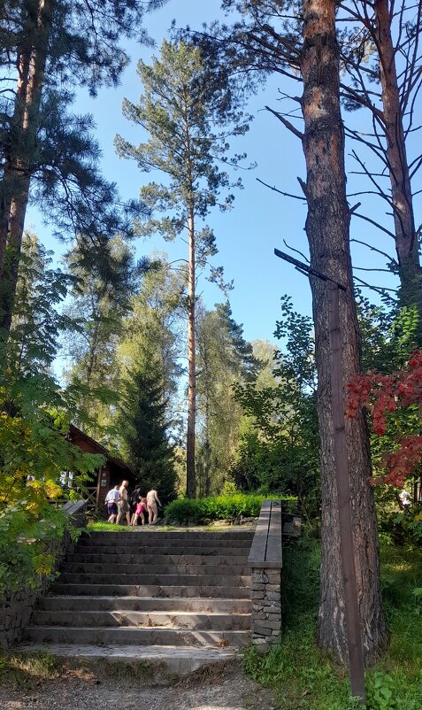 Отдых на базе "Сердце Алтая ". - Мила Бовкун