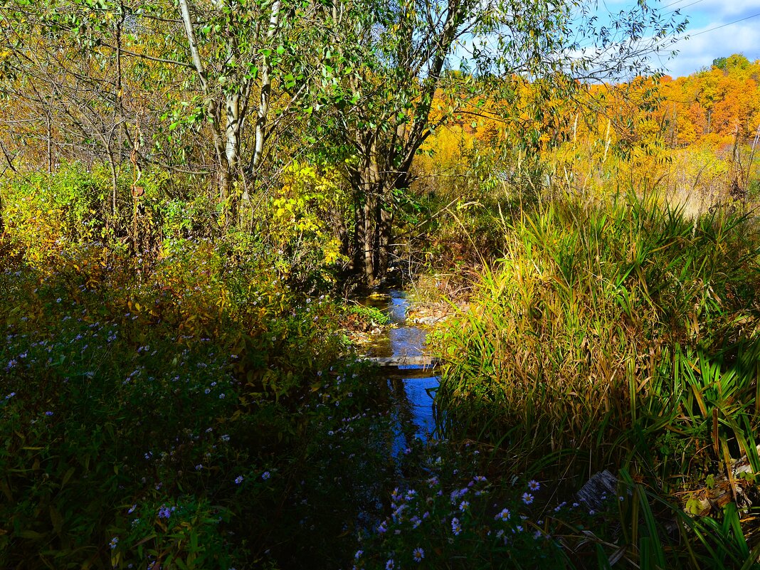Чебоксары. Речка Чебоксарка в среднем течении осенью. - Пётр Чернега