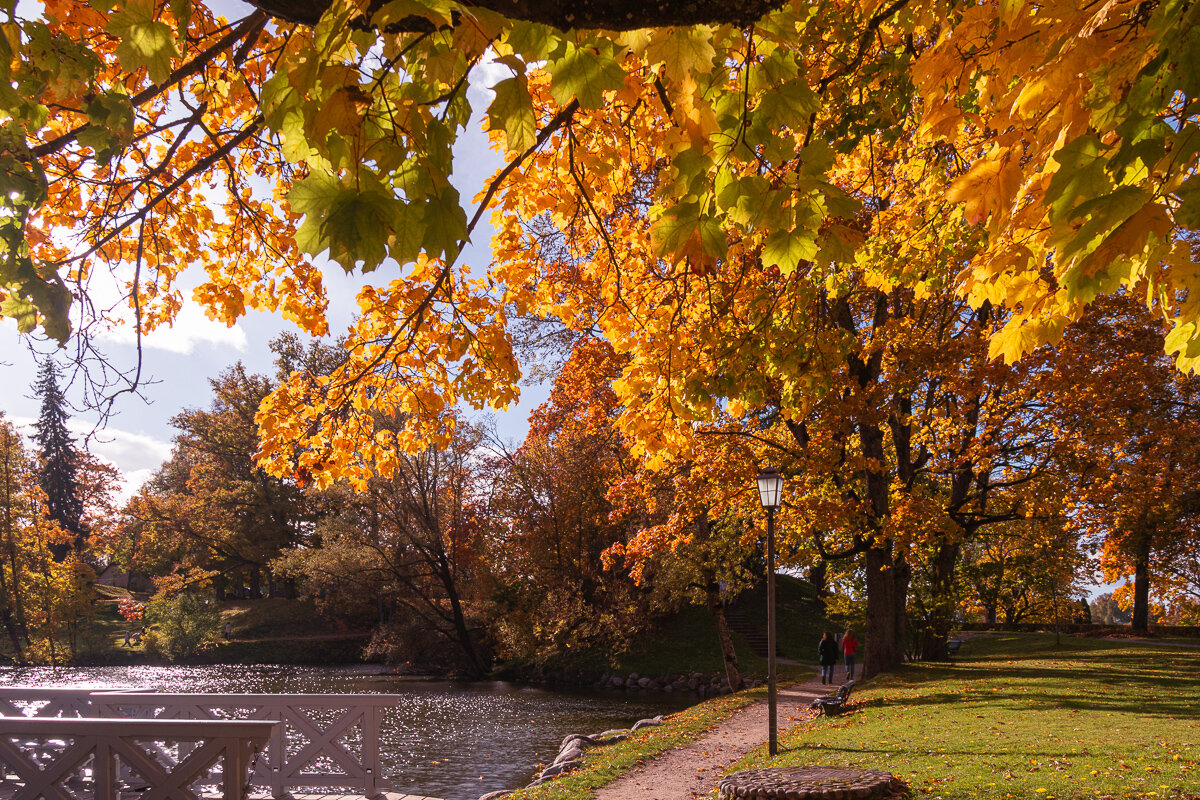*** - Геннадий Порохов