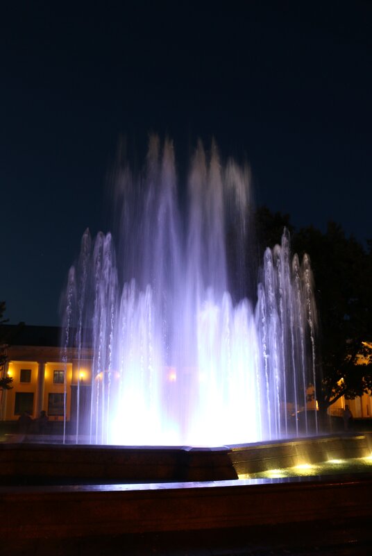 Вечернее шоу - Ольга 