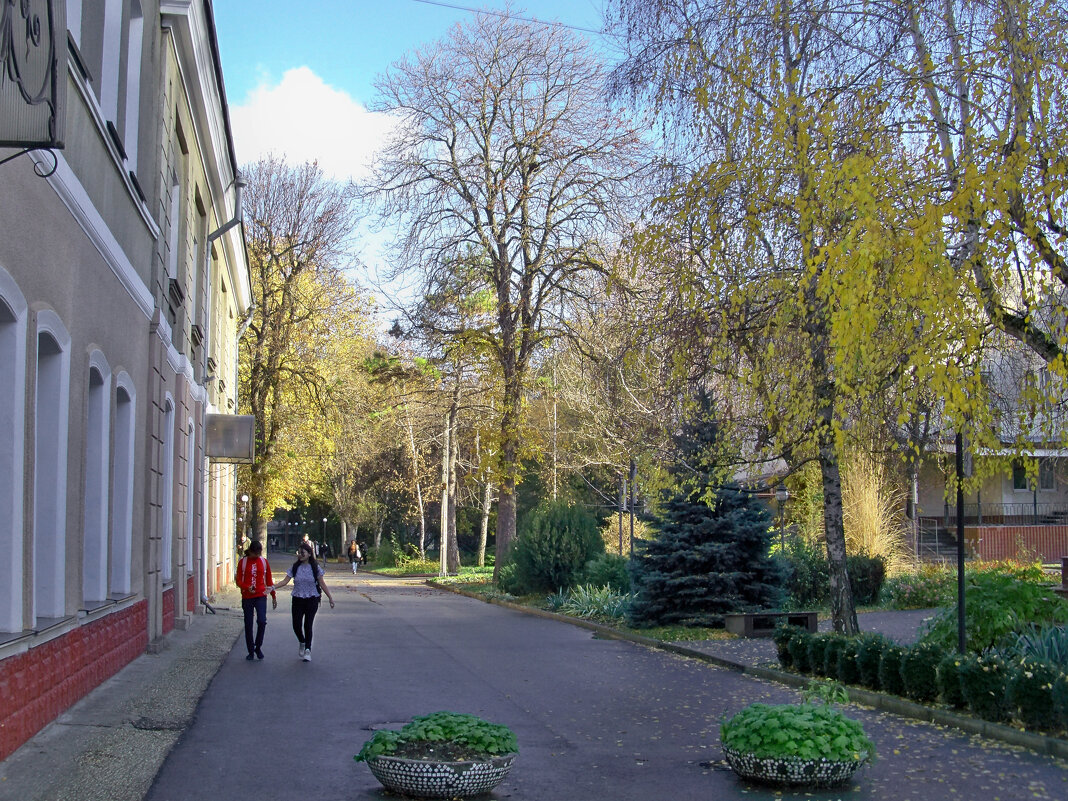 Студентки мединститута - Валентин Семчишин