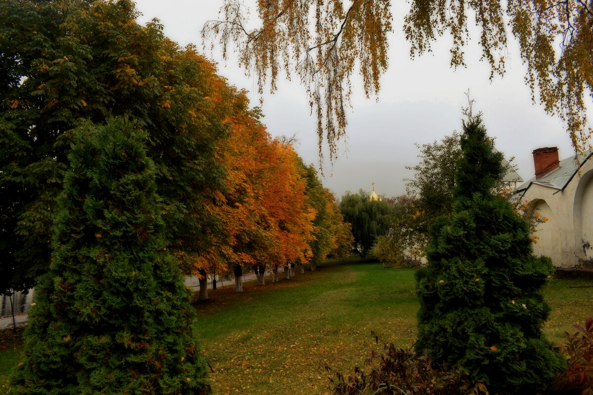 Вот и каштаны меняют окраску. - Татьяна Помогалова