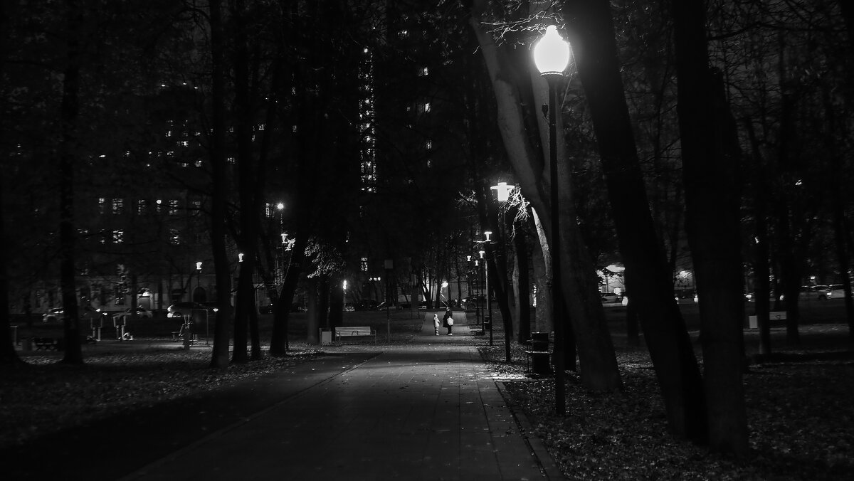 Вечер в Городе - юрий поляков Вечер в Городе - юрий поляков