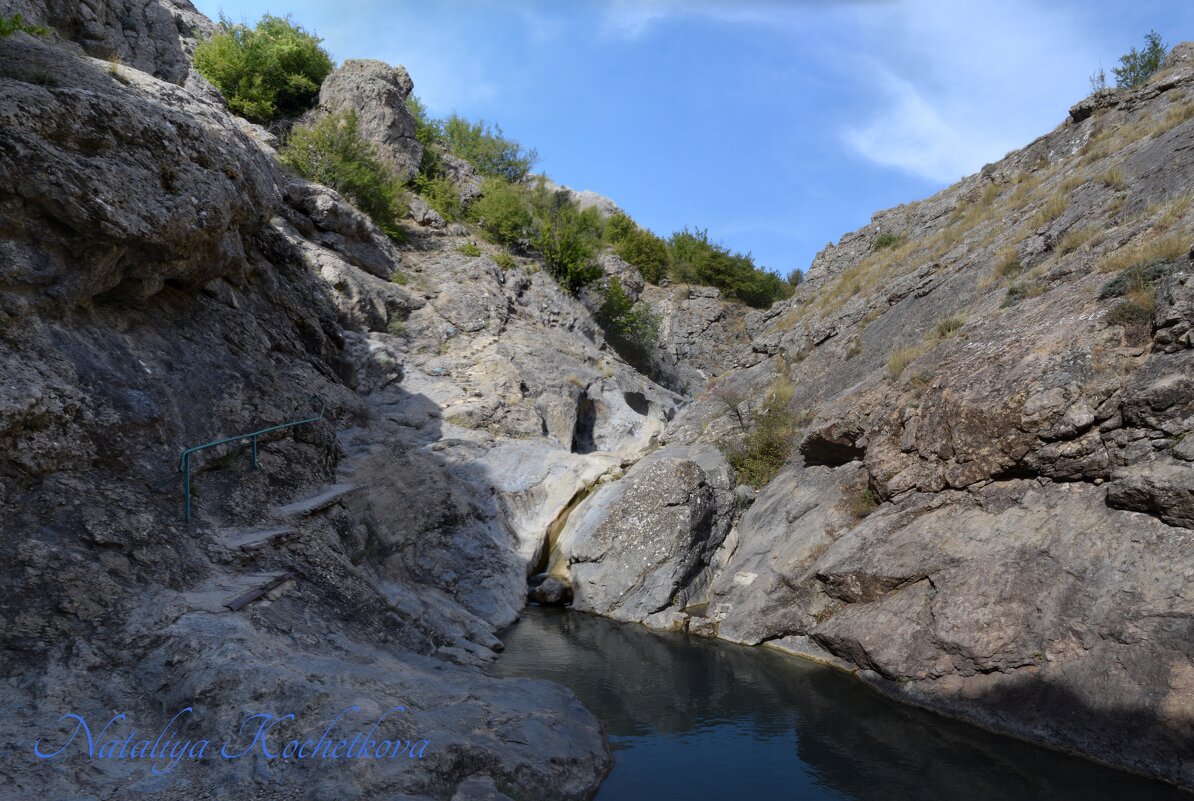 Природа Крыма - Amazing Cosmea