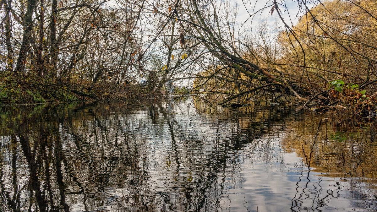 Симметрия - sorovey Sol