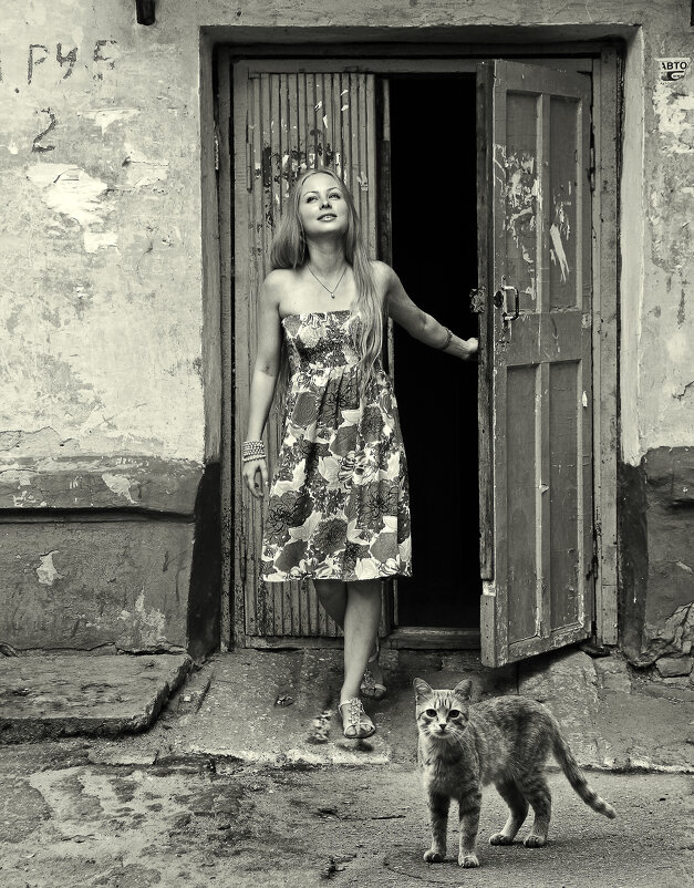 Выход в Свет - СЮ 