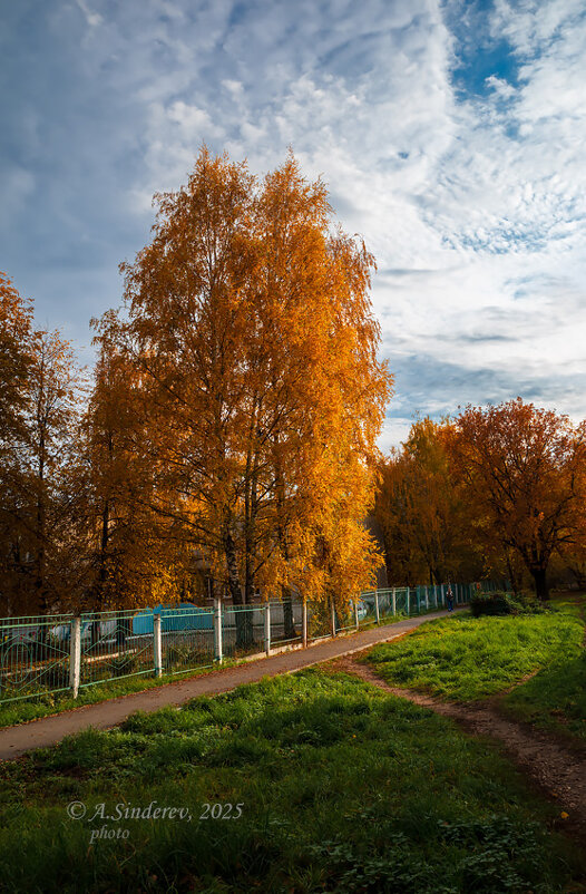 Золотая осень - Александр Синдерёв