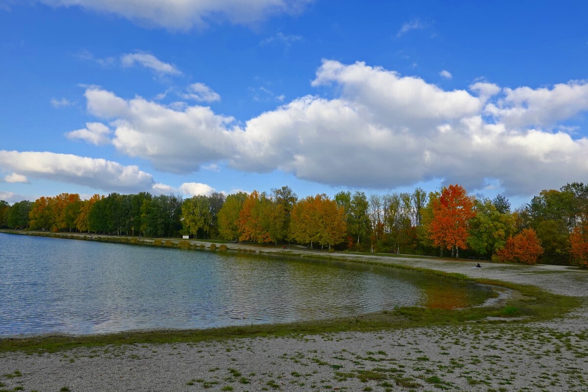 В осенних ритмах жизнь так хороша, Светла и бесшабашно-разноцветна.... - Галина 