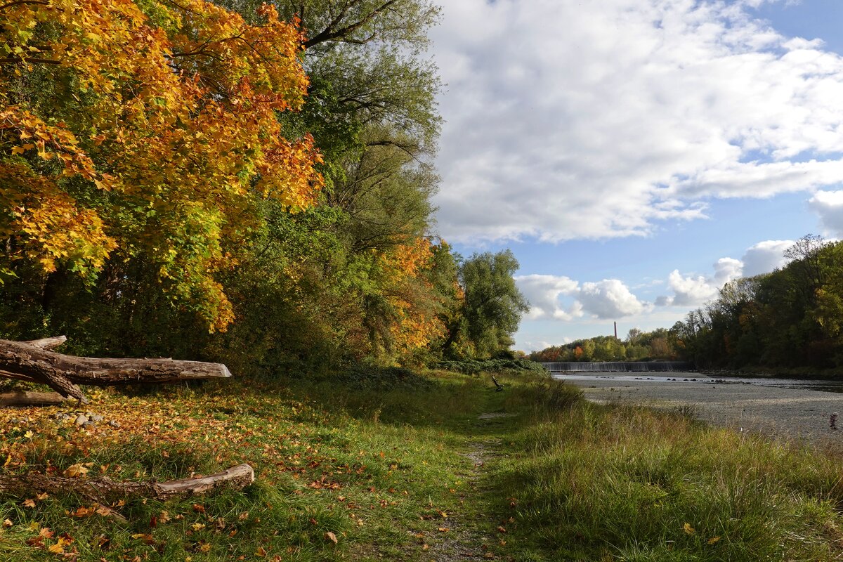 Ах, осень, я опять больна тобой! В тебе - и вдохновенье, и отрада... - Галина 