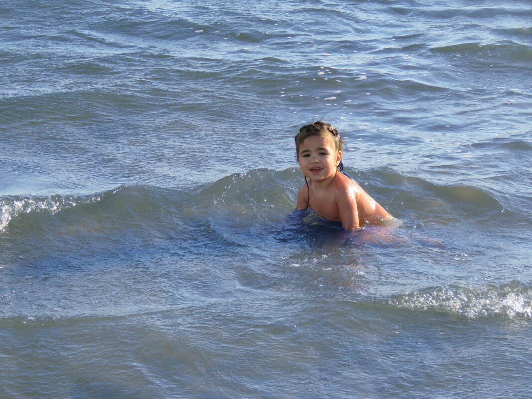 Охотское море  летом 2025 года было удивительно теплым. - ИРЭН@ .