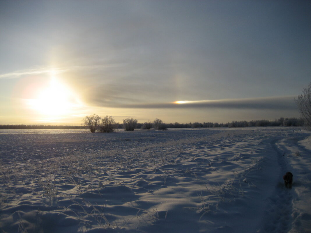 Зима - Anna Ivanova