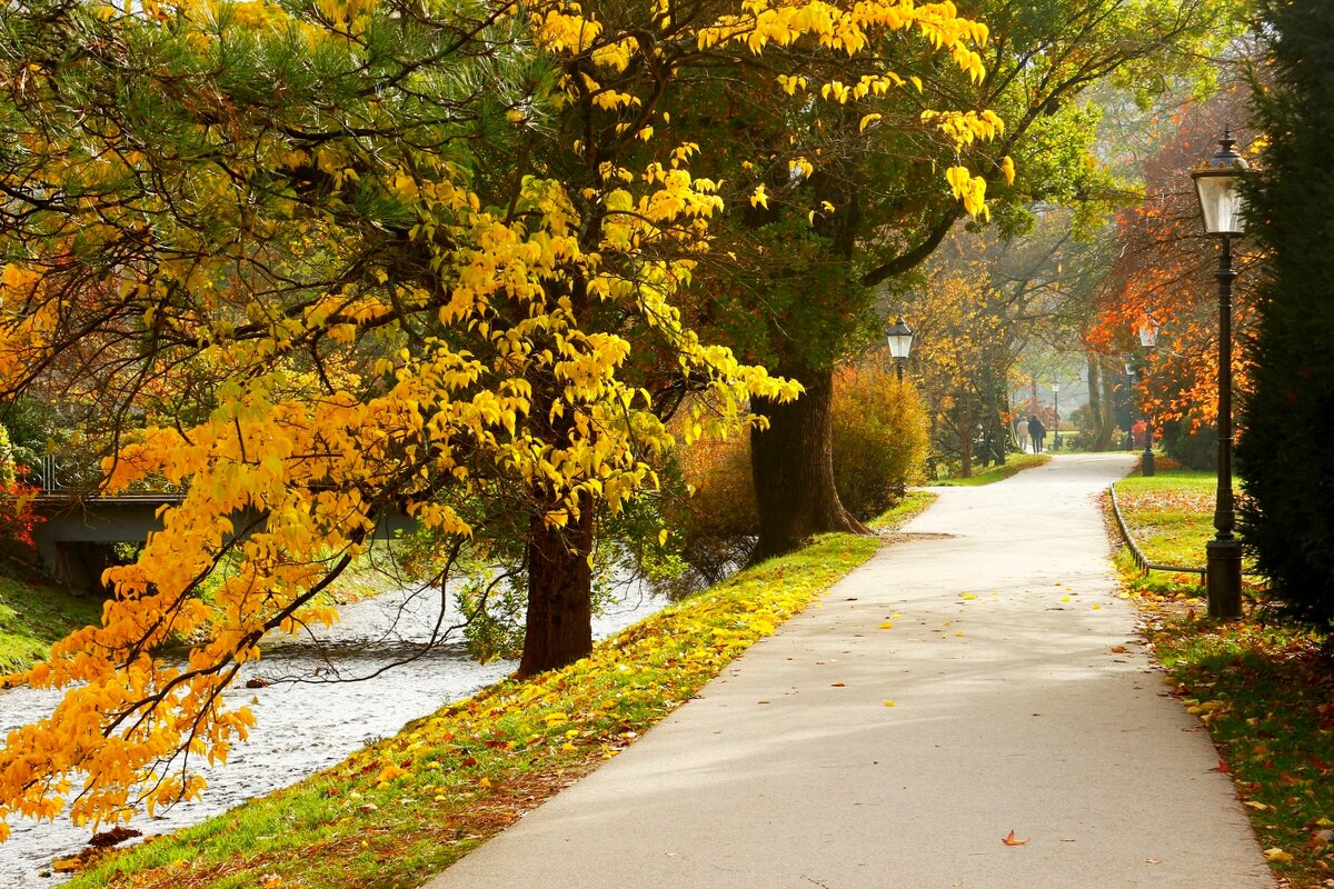 Осенняя аллея - Юрий. Шмаков