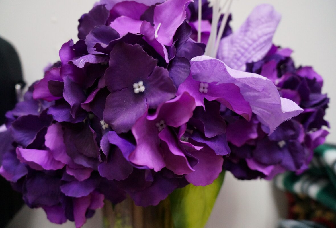 * * * - Алёна Савина