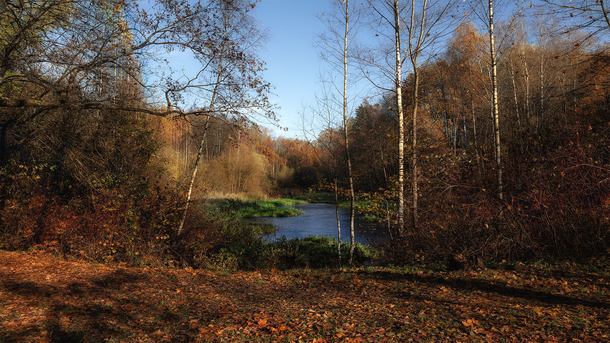 Люблю я пышное природы увядание... - olegdanilhenko Олег Данильченко