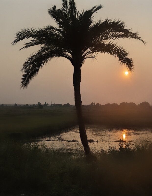 Капли заката - liudmila drake