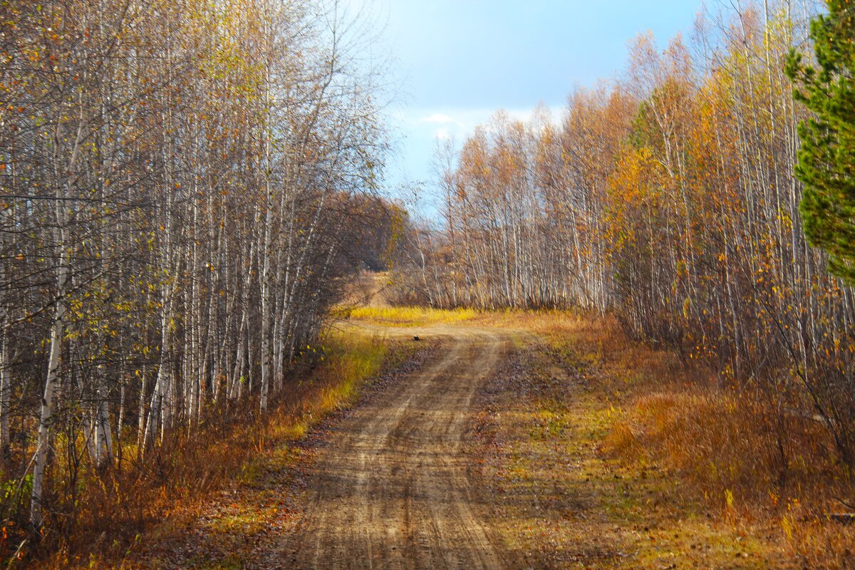Осенью - Сергей Никифоров