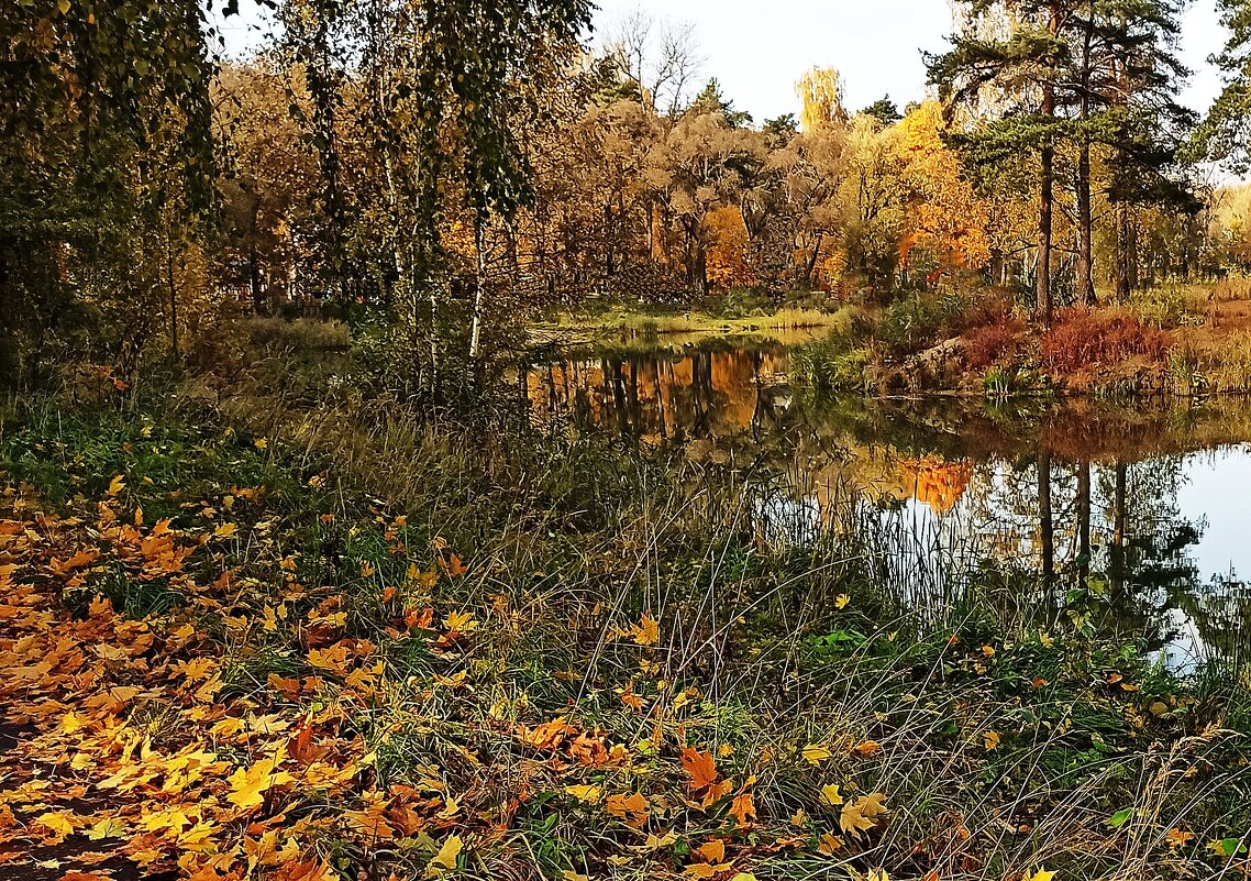 Улетает осень... - veilins veilins