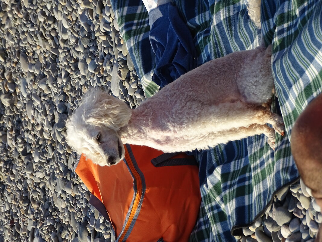 Отдыхающая - Павел Трунцев Отдыхающая - Павел Трунцев