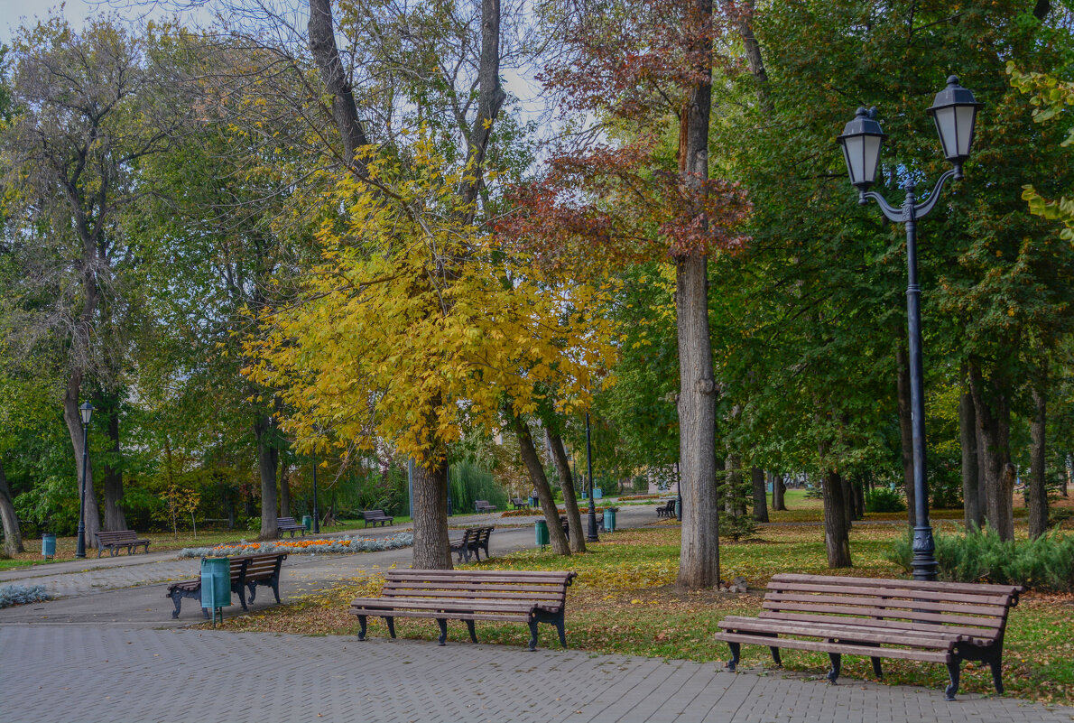 Золотая осень.. - Евгений 