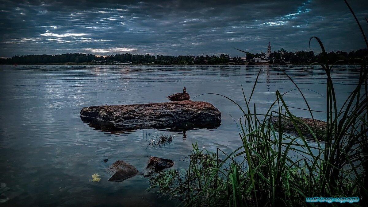 ...Здрасте вам.! - Павел Курков