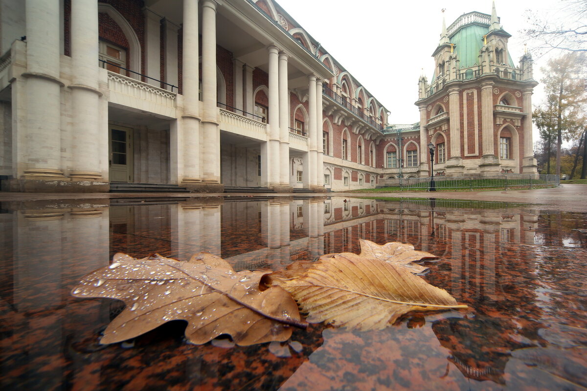 Царицыно 22 октября - Михаил Бибичков