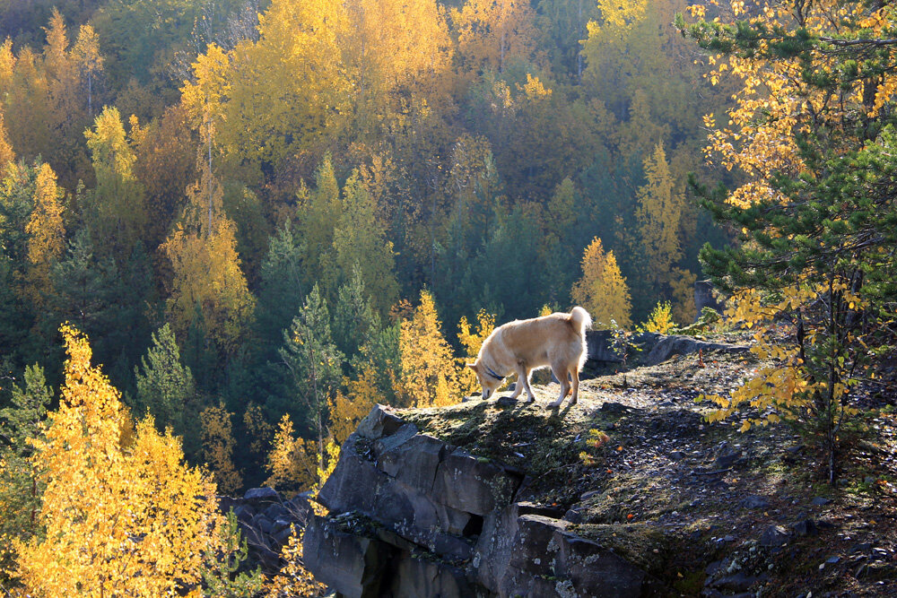 Золотой шторм - Vadm Slutsky