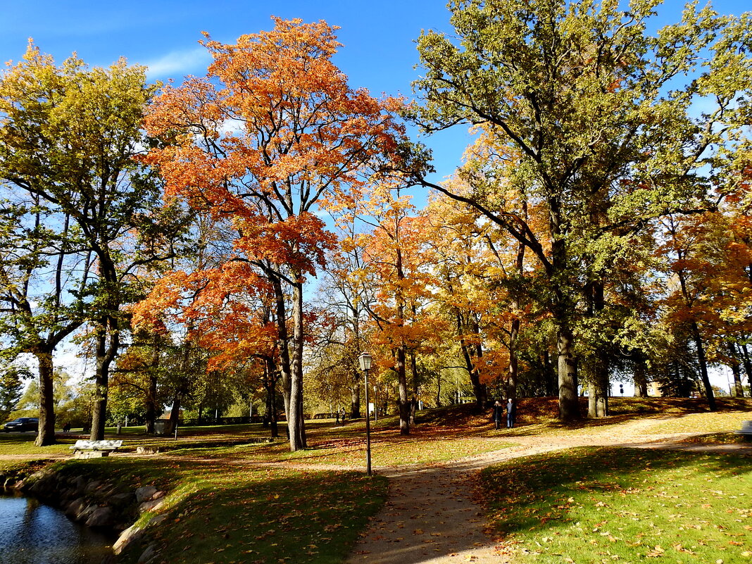 осень - ИННА ПОРОХОВА