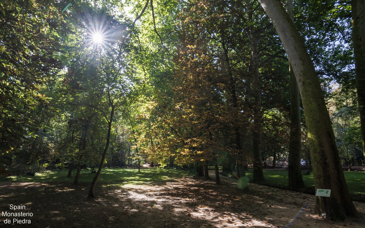 На природе - Michael M