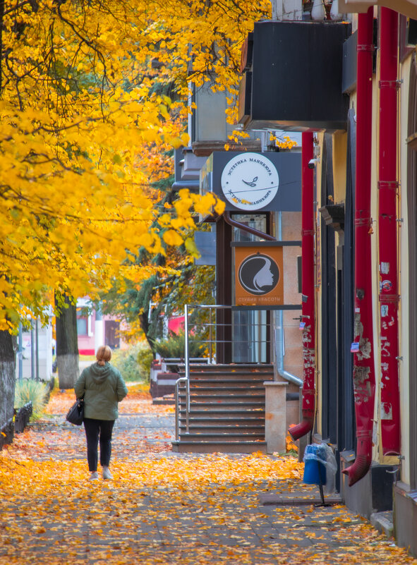 Осенняя Куйбышева - Sergei Vikulov