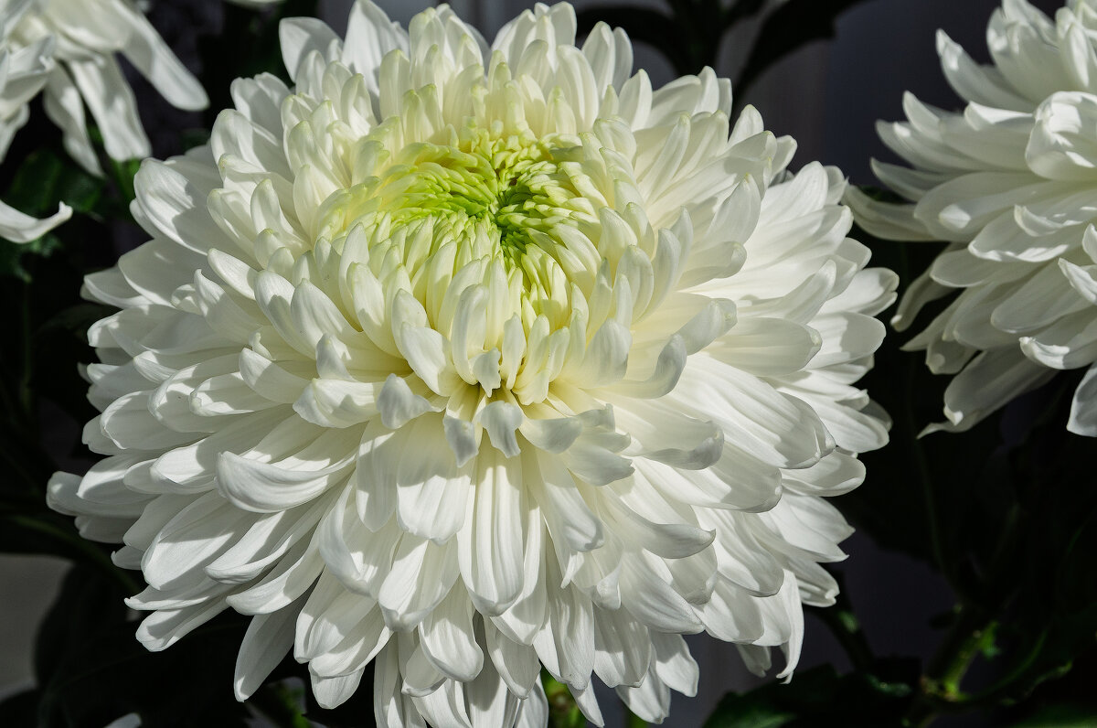 *** - Виктор Иванович Чернюк