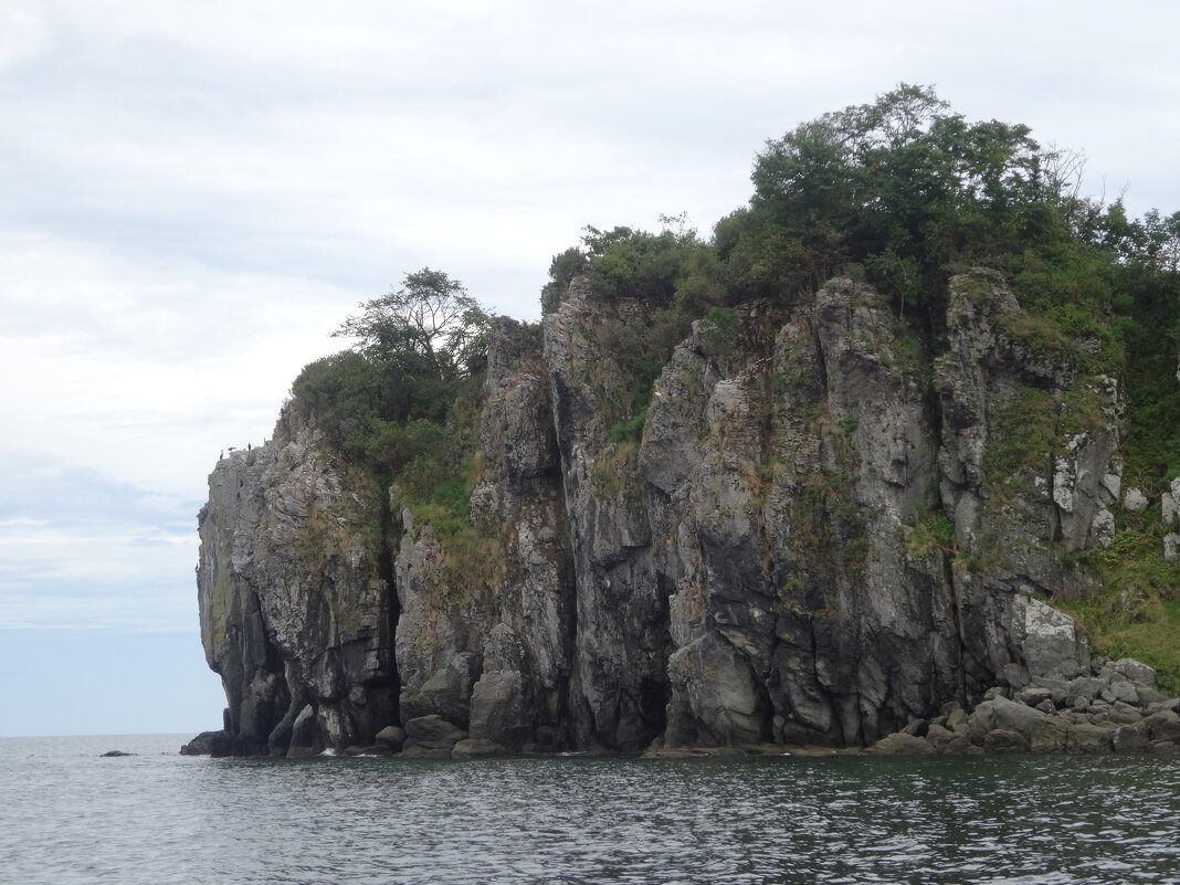 Скалистый берег мыса Брюса - Лидия Бусурина