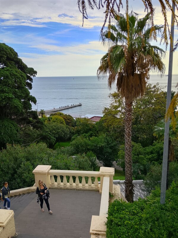 ПРОГУЛКА ПО ГОРОДУ - Tata Wolf