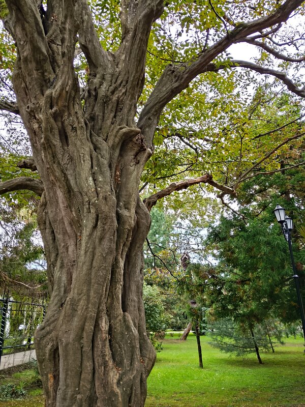 ПРОГУЛКА ПО ГОРОДУ - Tata Wolf ПРОГУЛКА ПО ГОРОДУ - Tata Wolf